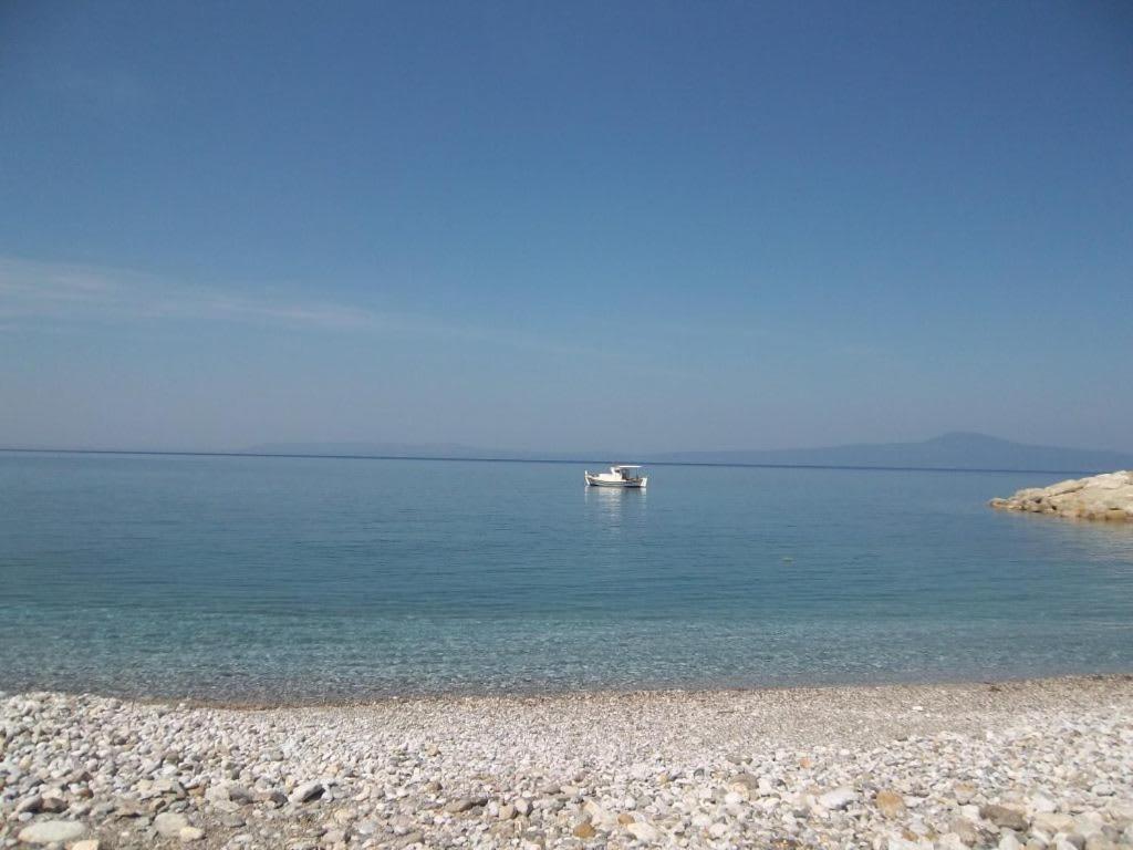 Amber Seaview Villa By The Olive Groves Kalamata Exterior photo